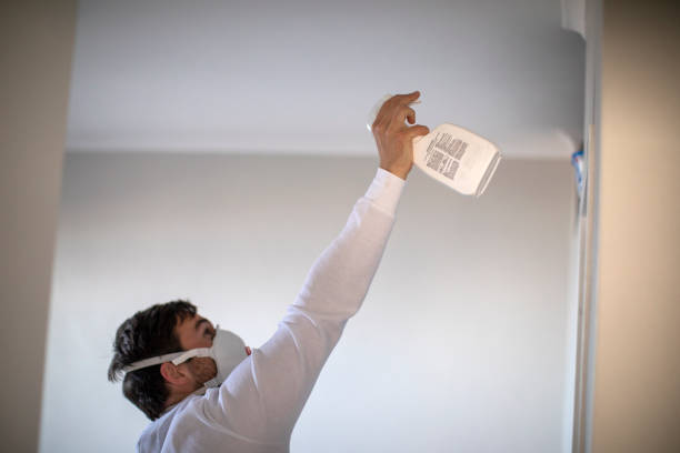 Best Mold Removal Specialists  in Newport, DE