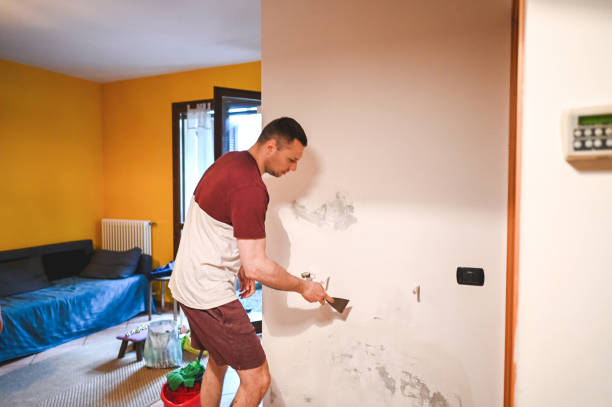 Best Office Mold Removal Services  in Newport, DE